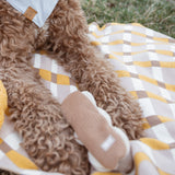 PICNIC BLANKET - Lambwolf Collective