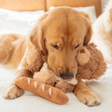 Teddy Baguette