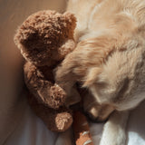 Teddy Baguette