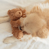 Teddy Baguette