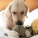 LARGE Cabbage POP - Lambwolf Collective