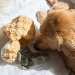 PINEAPPLE POP - Lambwolf Collective