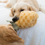 PINEAPPLE POP - Lambwolf Collective