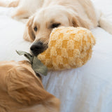 PINEAPPLE POP - Lambwolf Collective