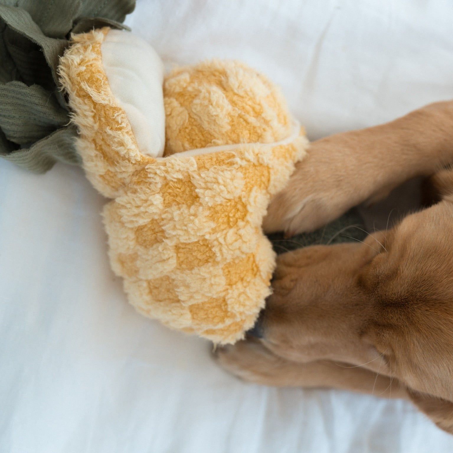 PINEAPPLE POP - Lambwolf Collective