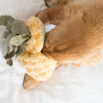 PINEAPPLE POP - Lambwolf Collective