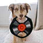 Bark To Beat - Lambwolf Collective