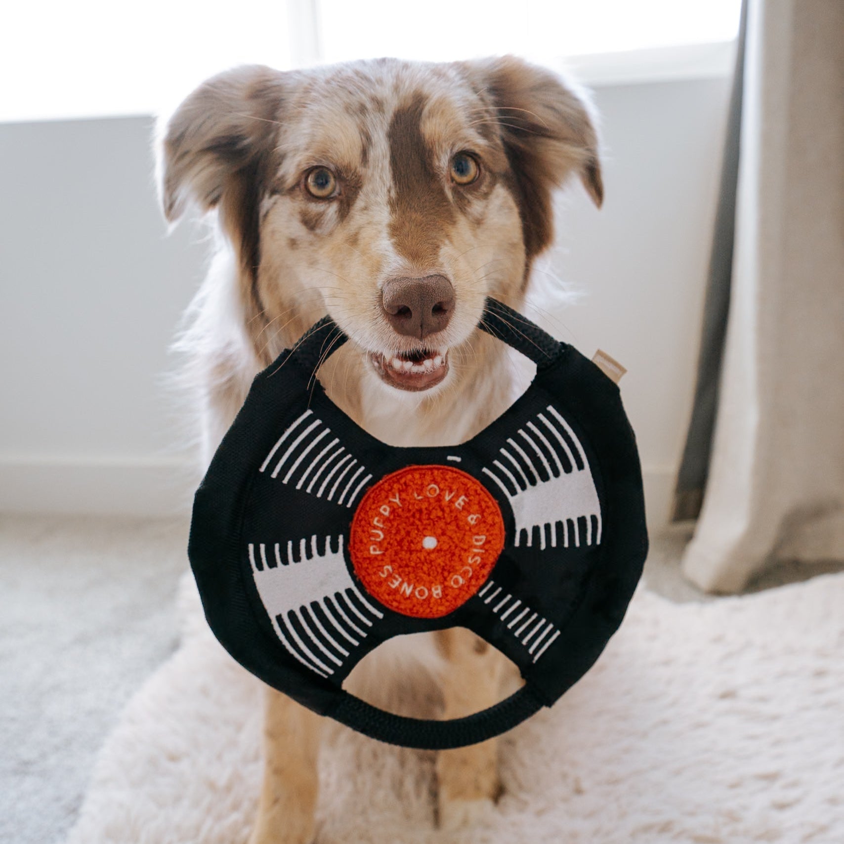 Bark To Beat - Lambwolf Collective