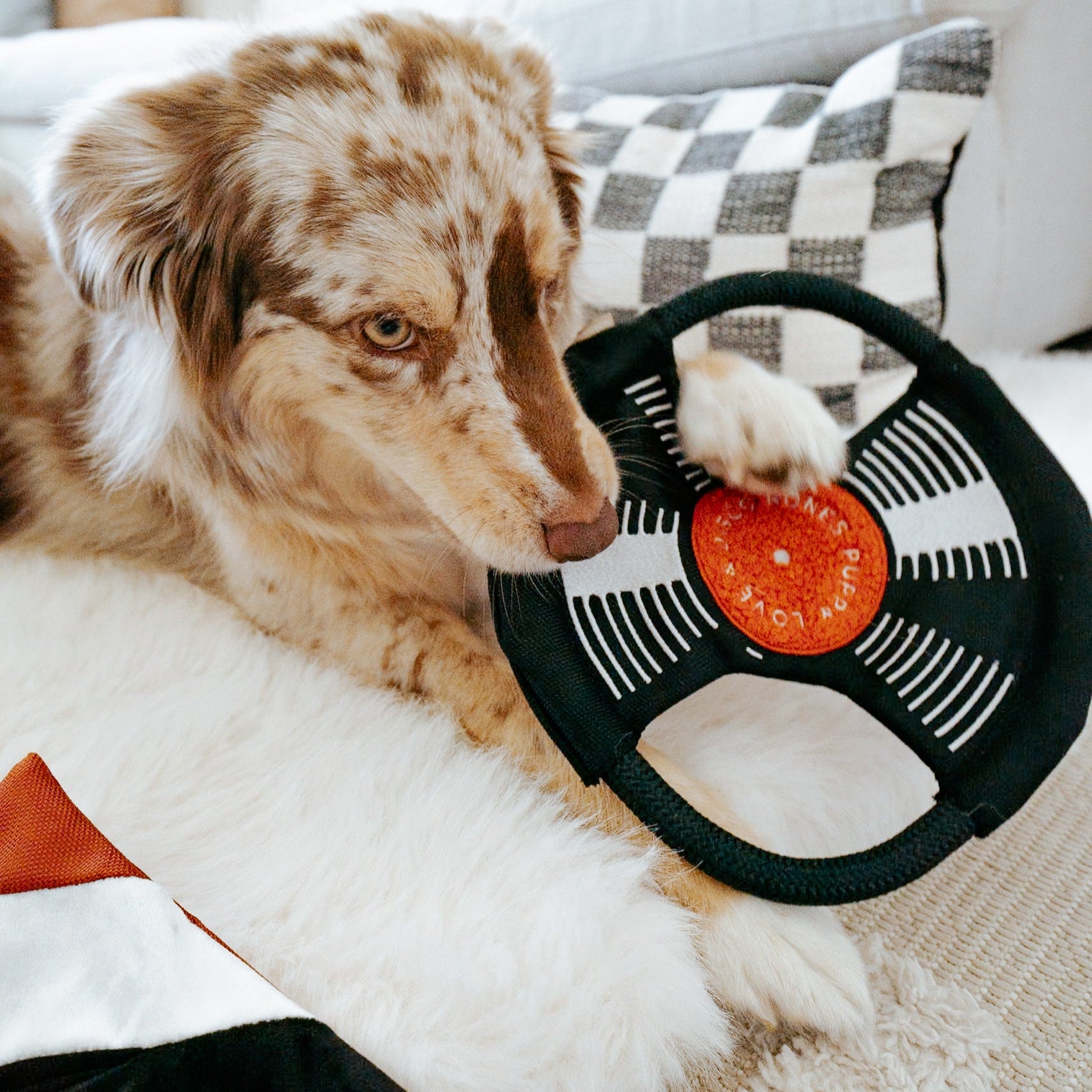 Bark To Beat - Lambwolf Collective