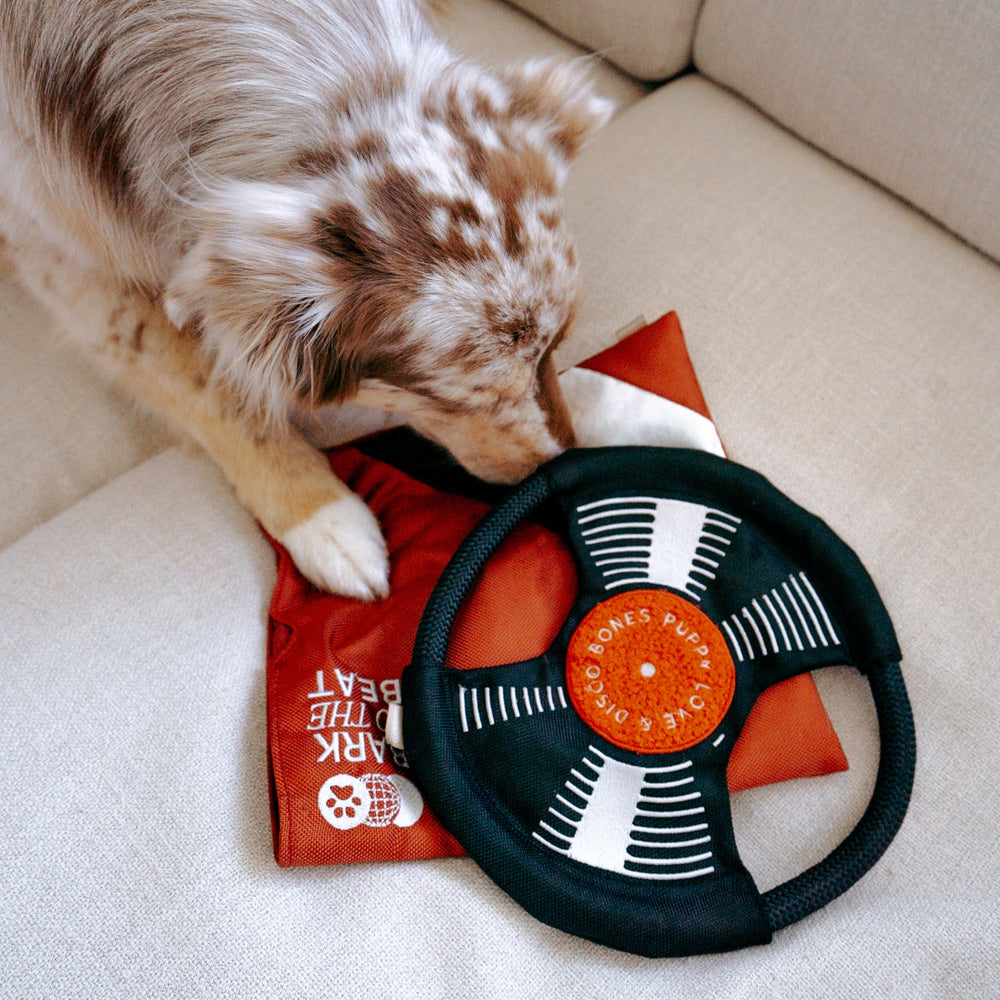 Bark To Beat- Enrichment and Interactive Dog Toy | Puzzle Dog Toy