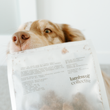 Bison Kidney - Lambwolf Collective