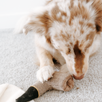 Surrealist Snuffles - Lambwolf Collective