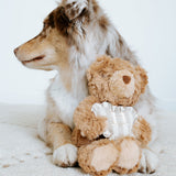 Initial Teddy