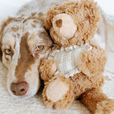 Initial Teddy