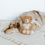 Initial Teddy