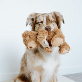 Initial Teddy