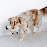 Dolly - Lambwolf Collective