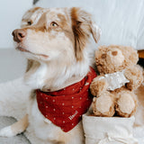 POPPY Dog Bandana