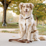 CROSSBODY LEASH