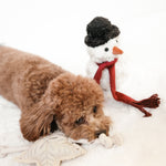 HOLIDAY STAR - Lambwolf Collective