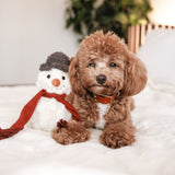 SNOWMAN - Lambwolf Collective