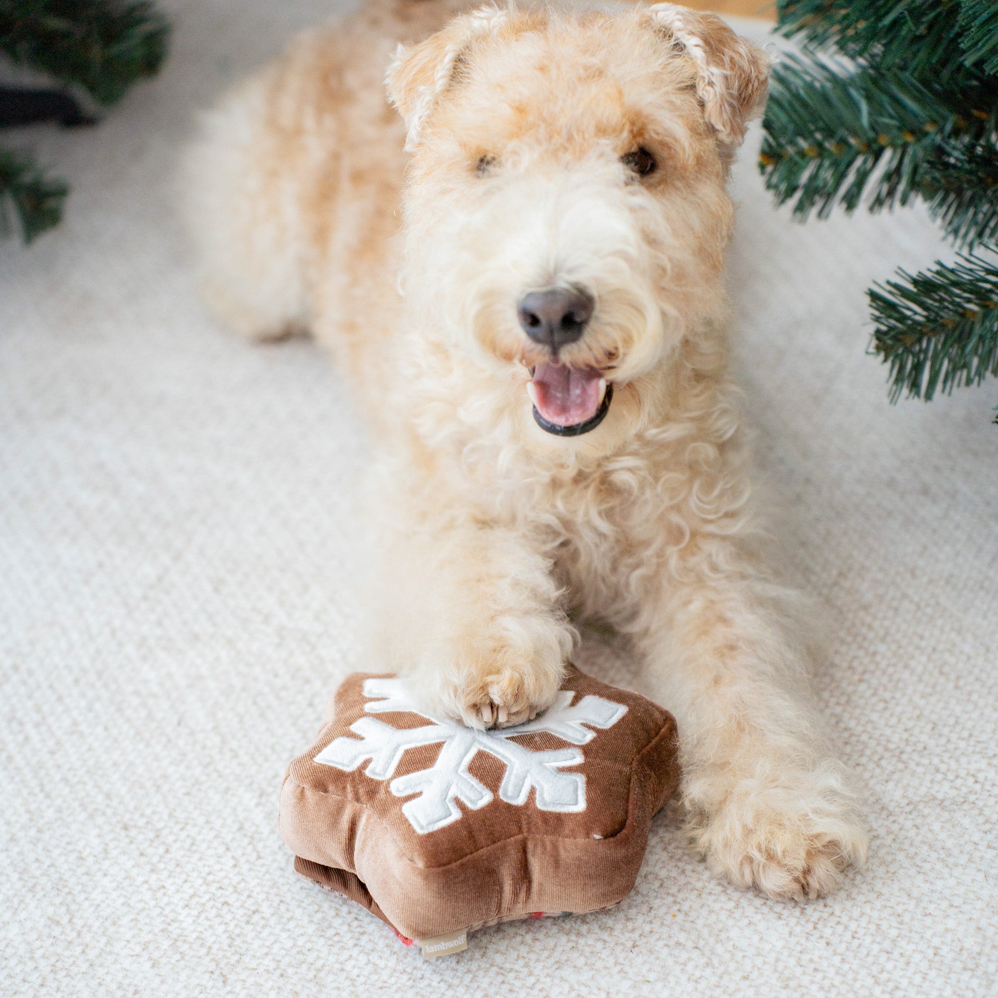 SNOWFLAKE SNUFFLE COOKIE