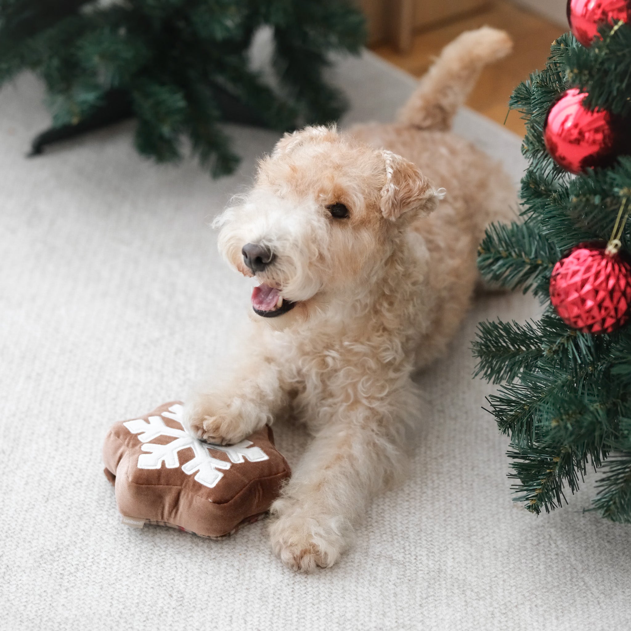 SNOWFLAKE SNUFFLE COOKIE
