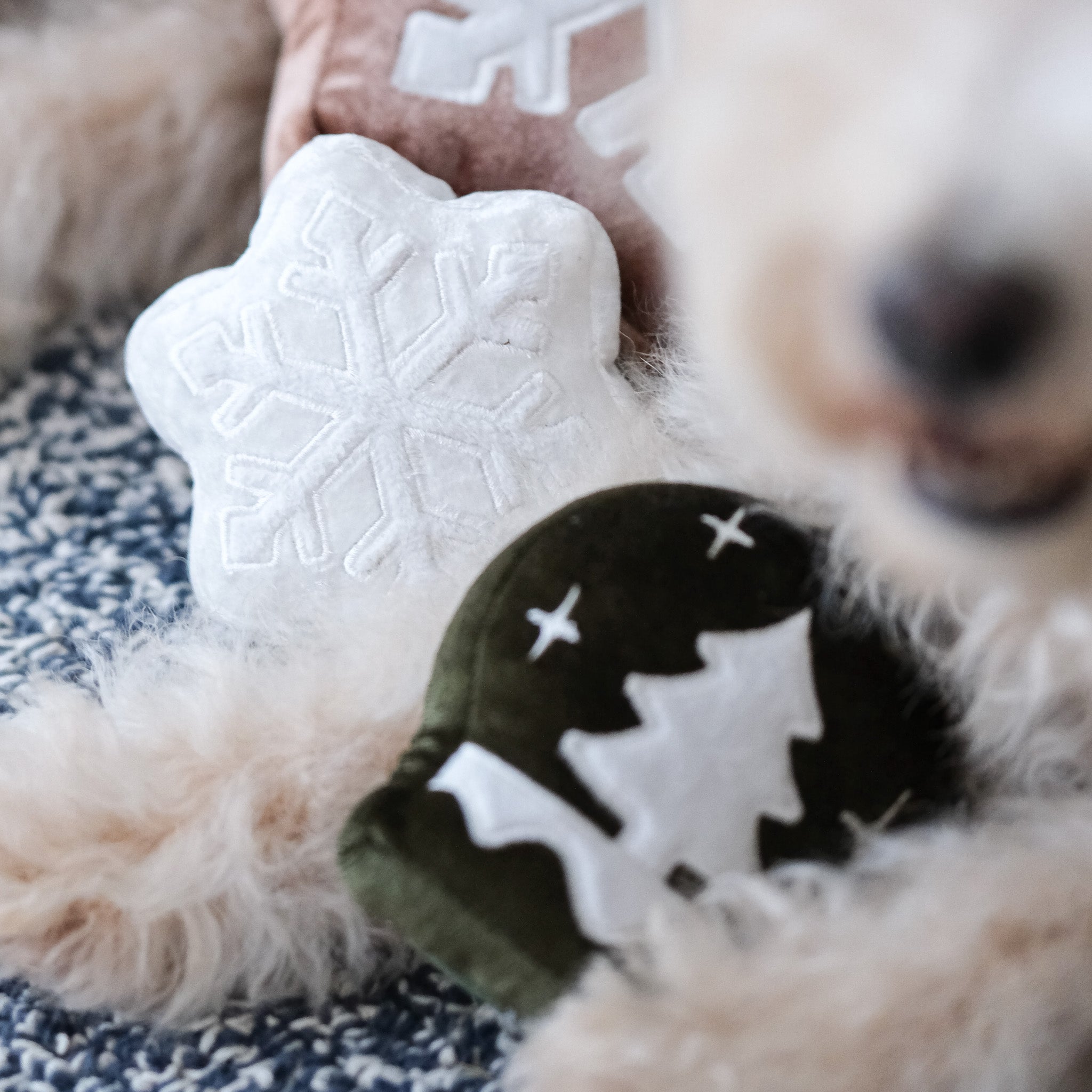 WINTER SNUFFLE COOKIES