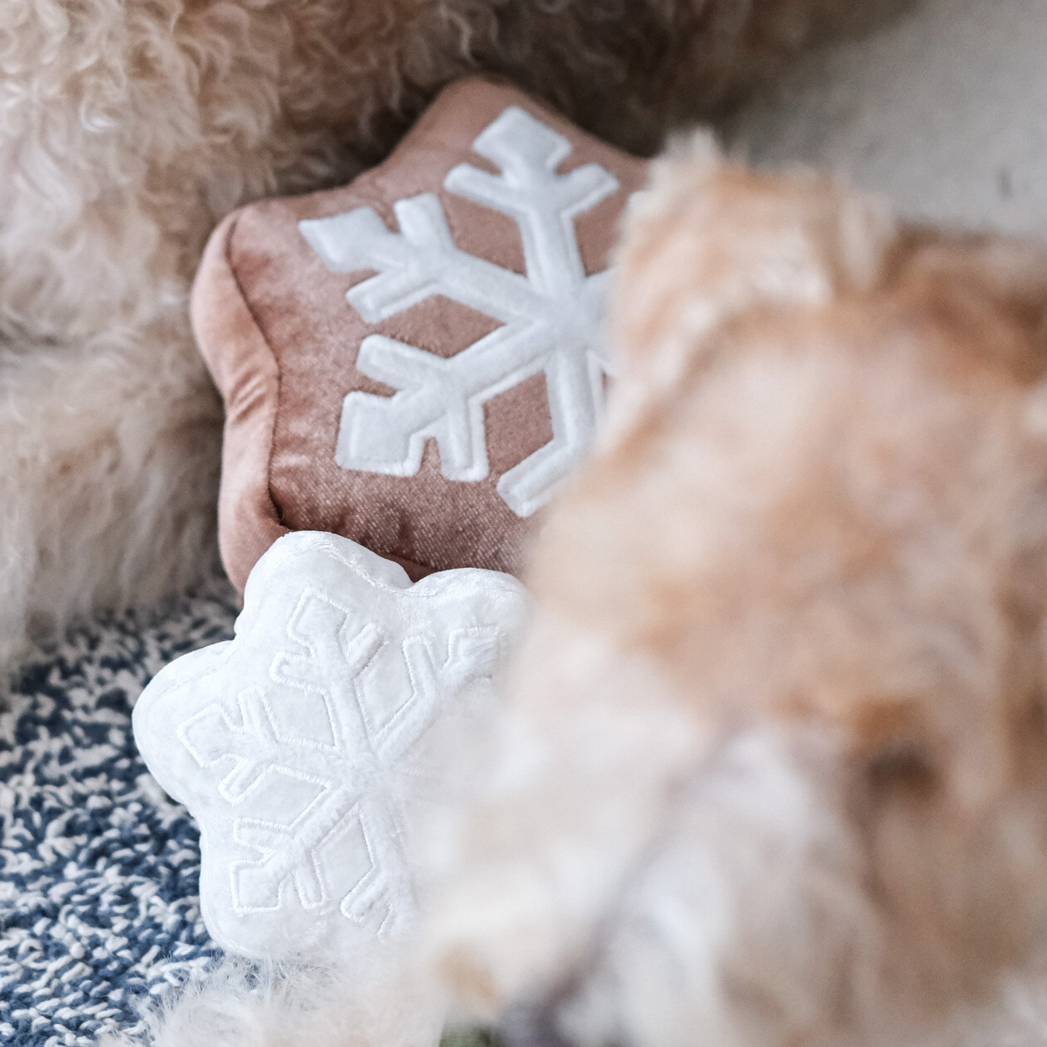 WINTER SNUFFLE COOKIES