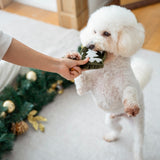 WINTER SNUFFLE COOKIES