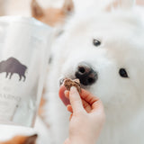 Bison Kidney - Lambwolf Collective