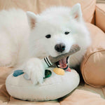 Color Palette Set - Lambwolf Collective