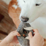 CASSETTE - Lambwolf Collective