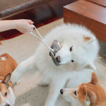 CASSETTE - Lambwolf Collective