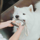 CASSETTE - Lambwolf Collective