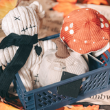 HALLOWEEN SET