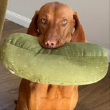 GIANT PICKLE - Lambwolf Collective