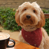 POPPY Dog Bandana
