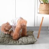 Maatin Dog bed waterproof low rise dog bed cover convertible dog bed