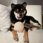 MOMO - Lambwolf Collective