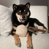 MOMO - Lambwolf Collective