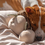 MOMO - Lambwolf Collective