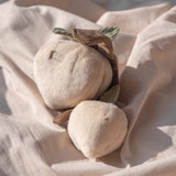 MOMO - Lambwolf Collective