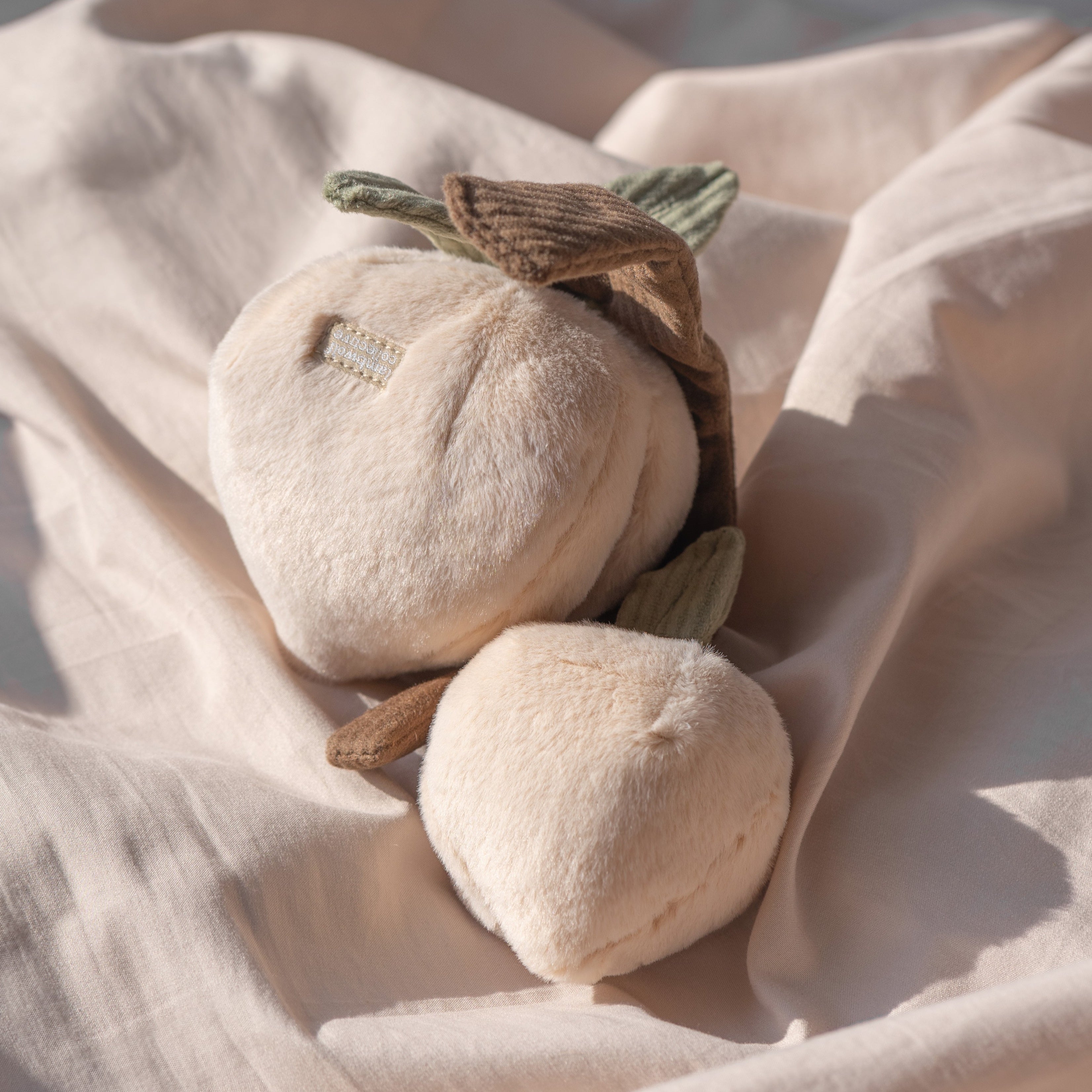 MOMO - Lambwolf Collective