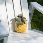 PINEAPPLE POP - Lambwolf Collective