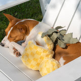 PINEAPPLE POP - Lambwolf Collective