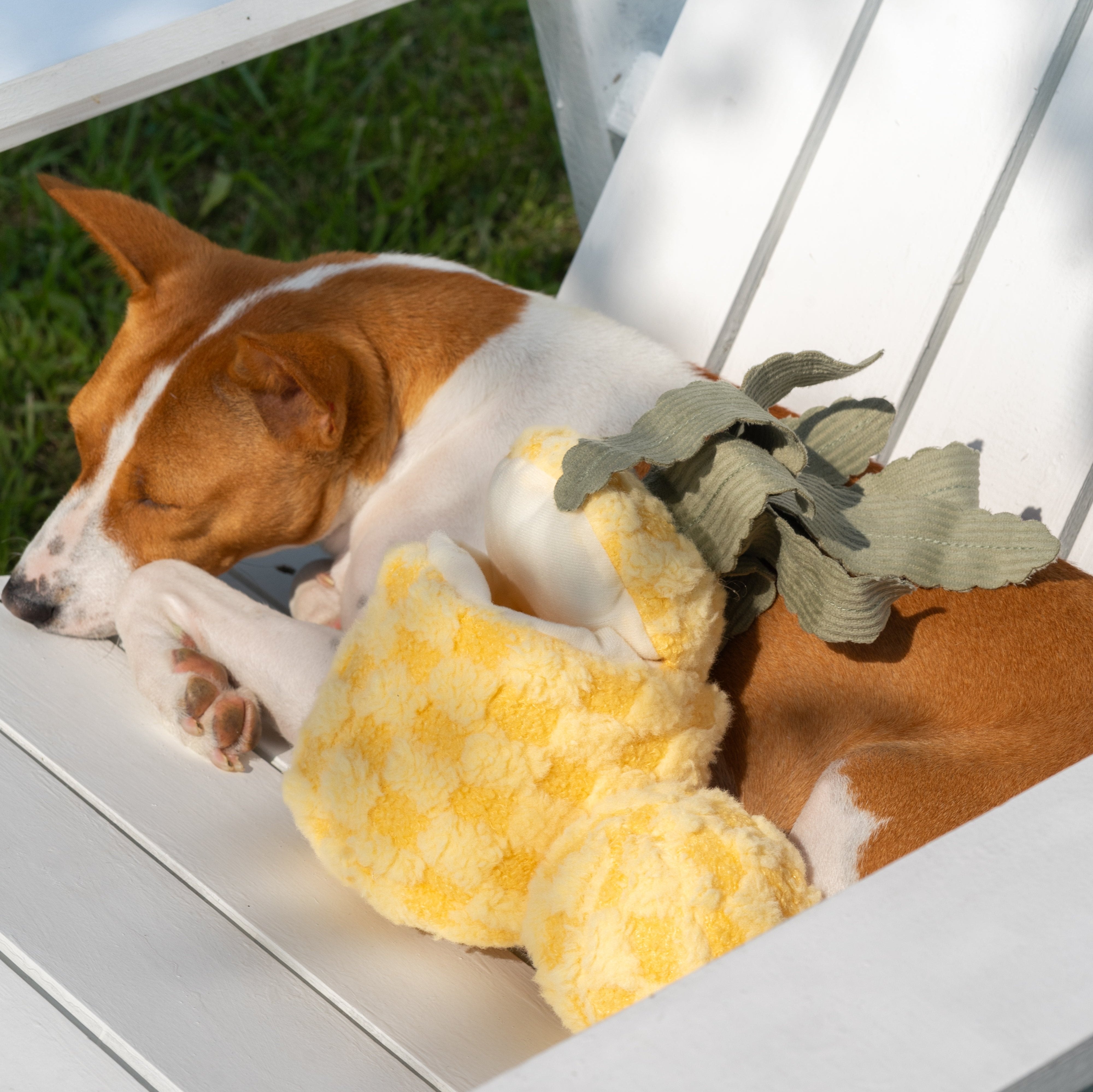 PINEAPPLE POP - Lambwolf Collective