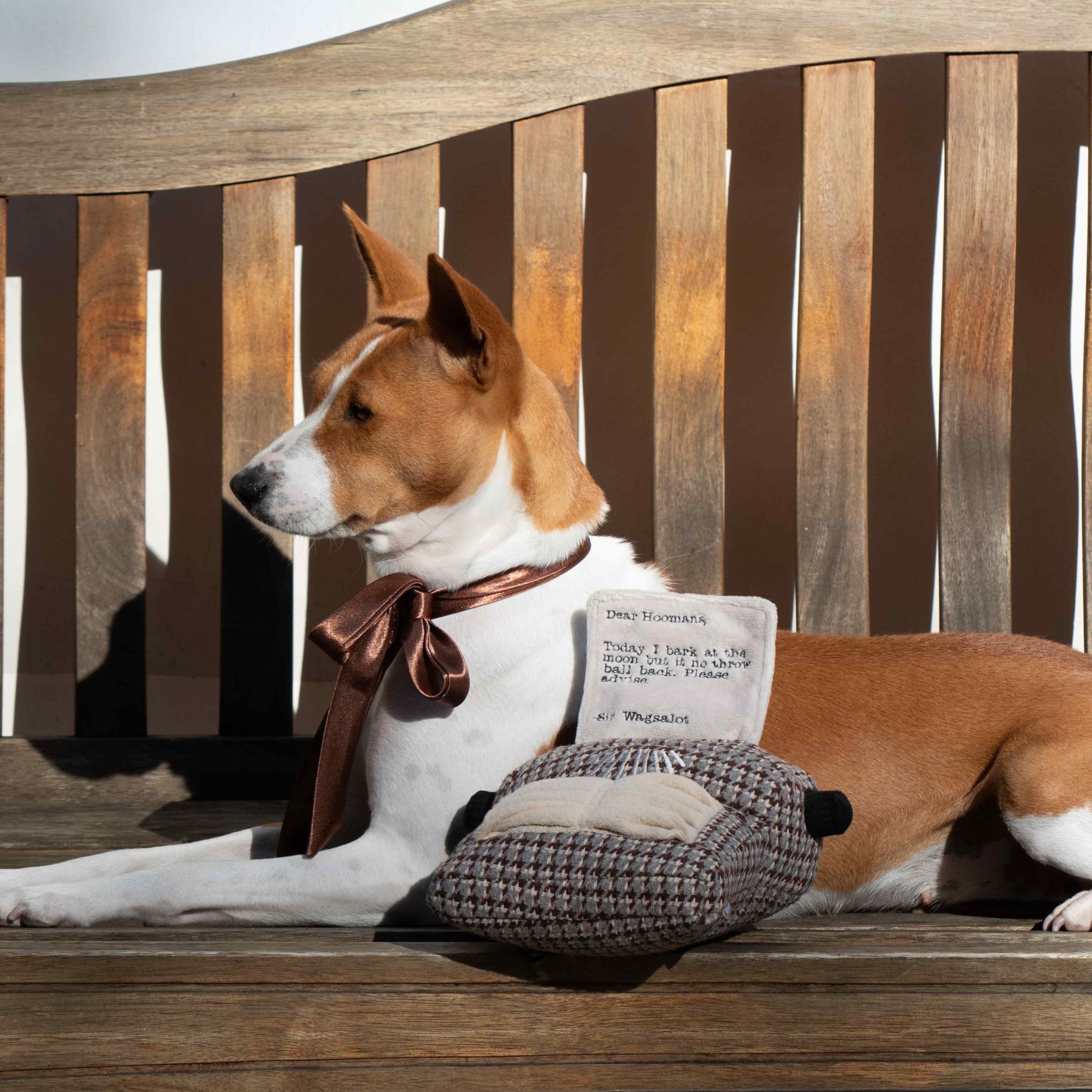 Typewriter - Lambwolf Collective