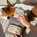 Typewriter - Lambwolf Collective