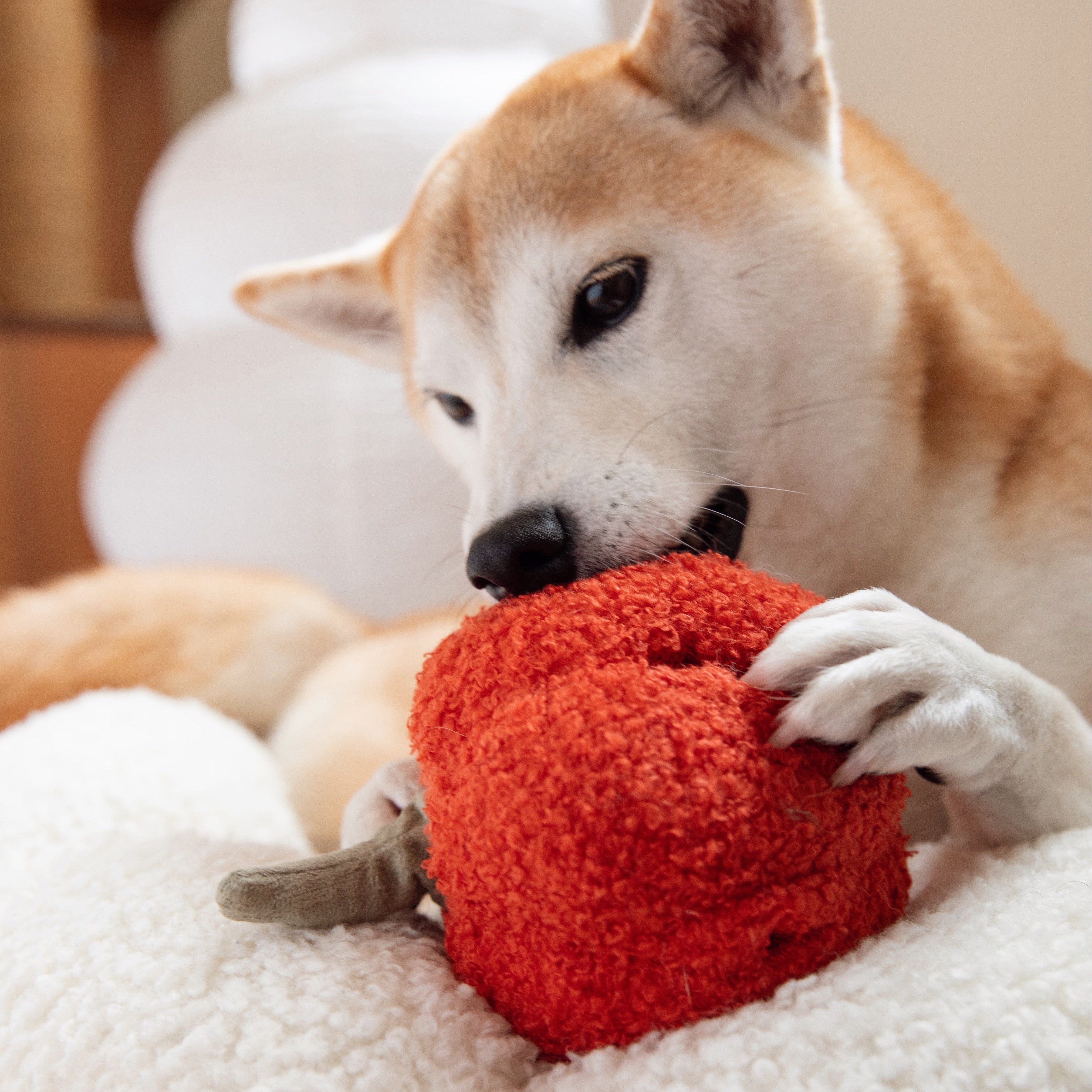 PEPPER - Enrichment and Interactive Dog Toy